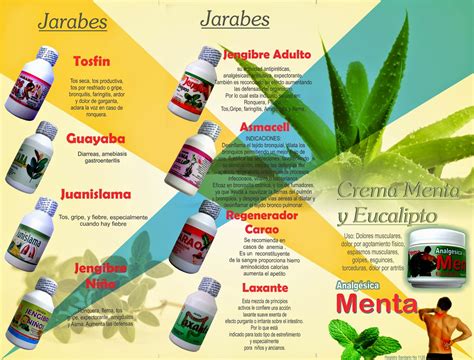 OLAM CECALLI - Laboratorio de Medicamentos Naturales.