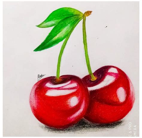 Red cherry #realistic #drawings #colored #pencils # ...