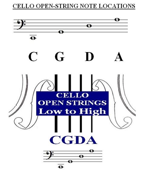 All Open Strings Violin Viola Cello Bass :: StringQuest