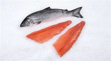 5 Most Expensive Salmon You Can Buy - Rarest.org