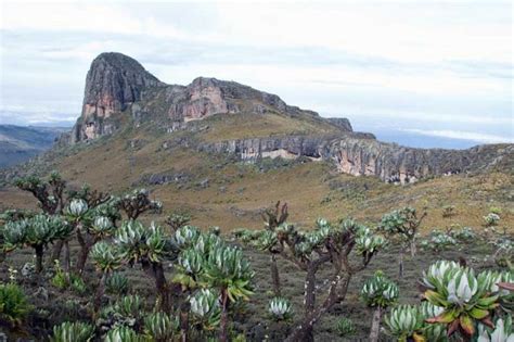 Mount Elgon National Park – Silverbird Travel Safari Blog