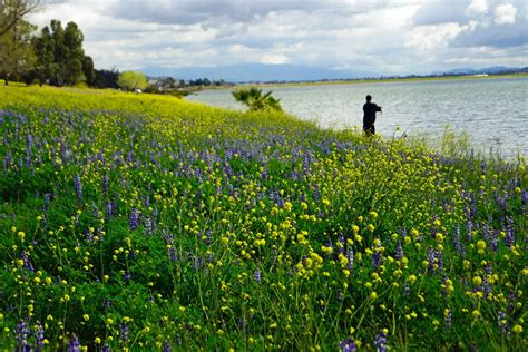 Lake Elsinore Camping: 10 Awesome Campgrounds to Explore - Amateur ...