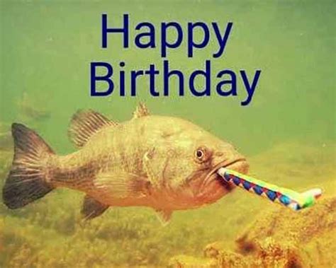 15 Funniest Happy Birthday Fishing Meme Images | Happy birthday fishing, Happy birthday ...