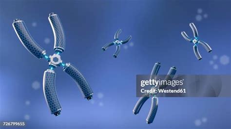 388 X Chromosome Stock Photos, High-Res Pictures, and Images - Getty Images