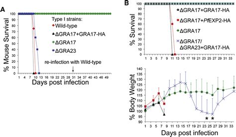 GRA17 Affects the Virulence and In Vivo Proliferation of Toxoplasma (A)... | Download Scientific ...