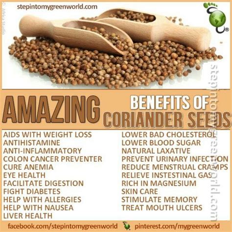 coriander seeds benefits; just picture #Taxing #Nature & Good Behavior ...