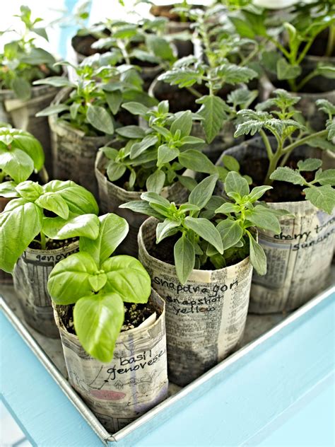 How to Make Paper Pots That You Can Plant with Your Seedlings