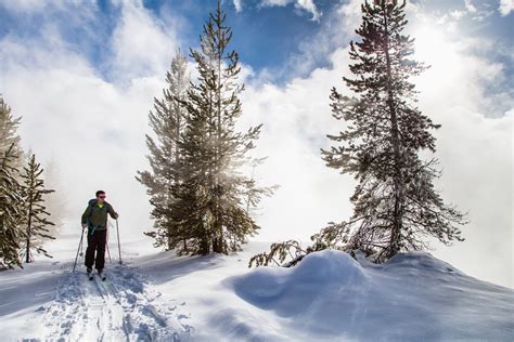 Cross-Country Skiing and Snowshoeing at Yellowstone National Park 2024 ...