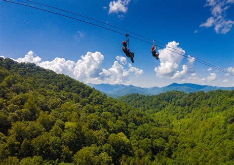 Zip Line Tours - Navitat Canopy Tours and Adventures Near Asheville, North Carolina - Oakland ...