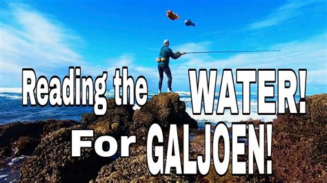 How to READ THE WATER FOR GALJOEN! How to identify where Galjoen feed ...