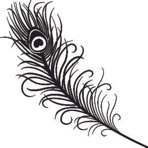 how to draw peacock feather for beginners step by step easy video ...