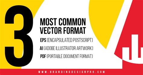 Vector vs Raster Graphics: Difference in Image File Formats