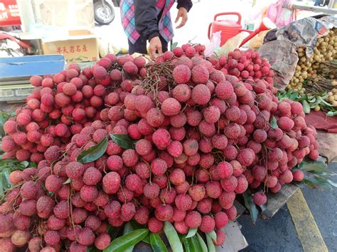 Free stock photo of fruit, fruits, litchi