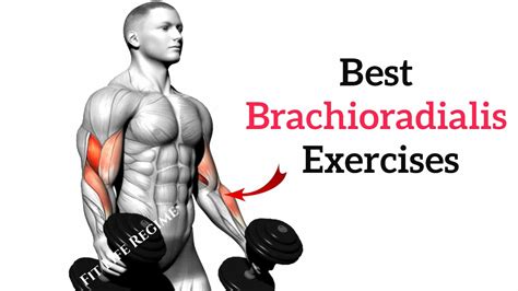 Best Brachioradialis Exercises For Bigger Forearms