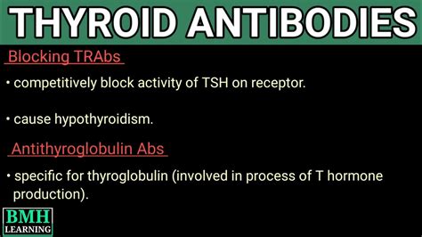 Thyroid Antibodies | Anti TPO Antibodies | Anti TSH Antibodies |Anti ...