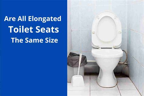 Are All Elongated Toilet Seats The Same Size (Guide) 2025