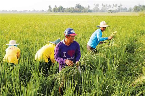 PH urged to hike agri investments