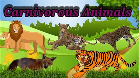 Carnivorous Animals Names And Pictures