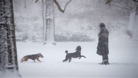 Virginia, West Virginia Snowfall Totals Winter Storm Stella