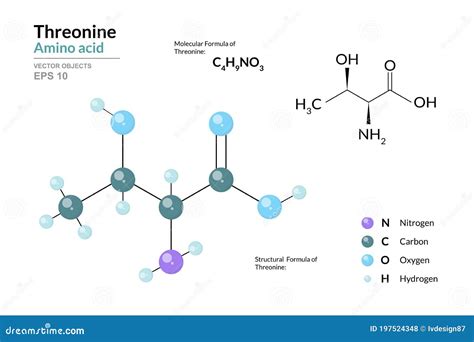 Threonine. Thr C4H9NO3 Amino Acid. Structural Chemical Formula and Molecule 3d Model. Atoms with ...