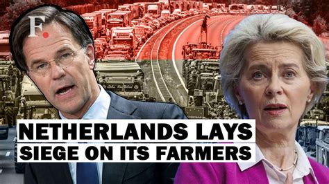 Dutch Government Prepares To Seize Farmers’ Lands, Protests Erupt | Netherlands | Europe Crisis ...