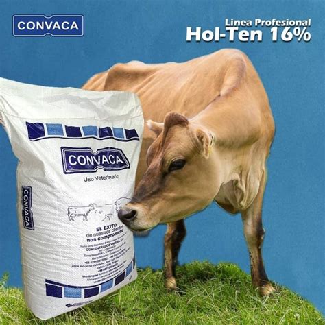 Alimento Balanceado para Vacas Lecheras - Convaca - Agroshow