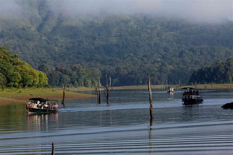 Thekkady Travel Guide | Periyar National Park | CuteKerala