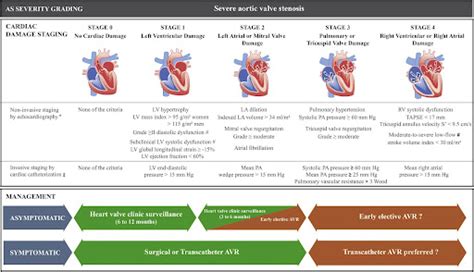 Diagnosing Aortic Stenosis | Dr. Raghu