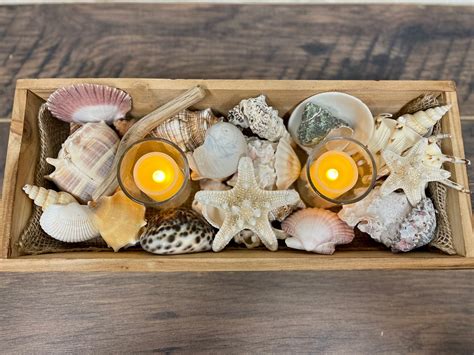 Seashell Centerpiece Sea Shell Beach Decor Wooden Box - Etsy