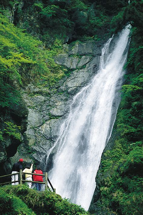 Shimizu port | Tourist Attraction Details | Scenic Japan from the Water