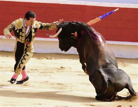 Matador Touching Bull Painting by Clarence Alford | Fine Art America