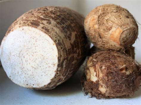 The health benefits of TARO root