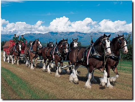 Amazon.com: Clydesdales in Blue Sky Mountains by Budweiser, 24x32-Inch Canvas Wall Art: Oil ...