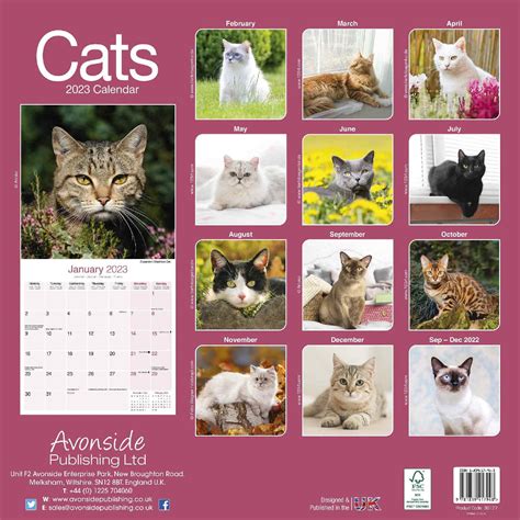 Cats Calendar | Cat Calendars | Pet Prints Inc