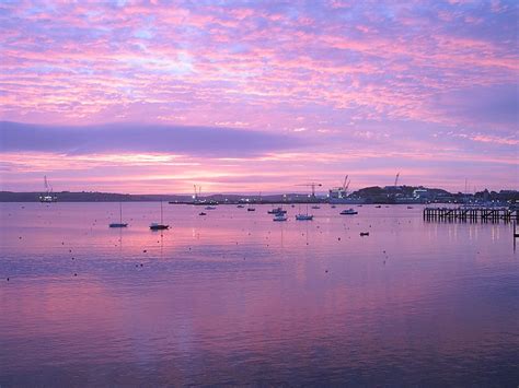 Falmouth Harbour Sunrise and Sea Mist | Wildlife Insight