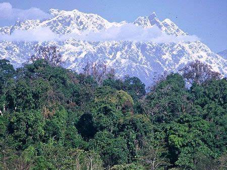 Beyond the Clouds- The Mountains, My Home: Hkakabo Razi- Myanmar's ...