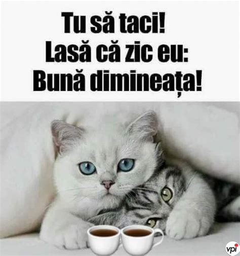 Mesaje Buna Dimineata Cafea Haioase : Top 176 Mesaje De BunÄƒ DimineaÈ ...