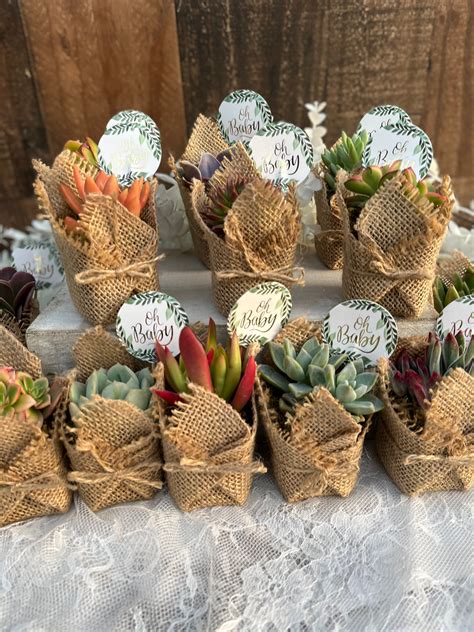 Oh Baby Succulent Baby Shower Favors - Etsy