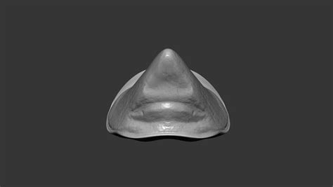 Rhino Horn Small Highpoly Sculpt 3D model - TurboSquid 1806615