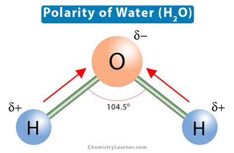 Polarity of Water (H2O) Molecule: Definition and Importance