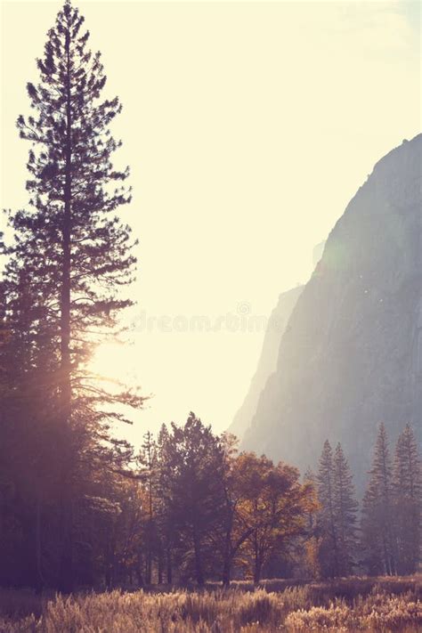 Autumn in Yosemite stock image. Image of america, travel - 54157069