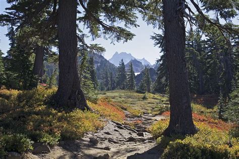 Explore the Stunning Willamette National Forest and Pacific Crest Trail