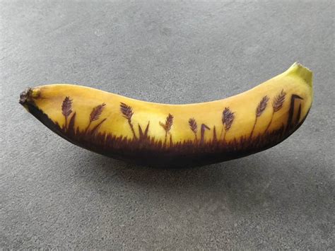 Amazing Banana Skin Art by Anna Chojnicka - Design Swan