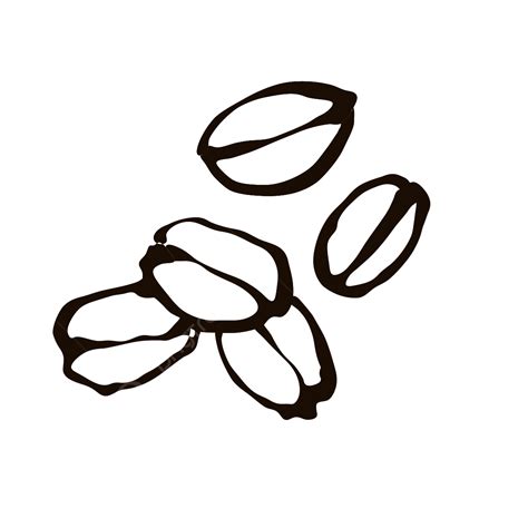 Whole Bean Coffee, Coffee Drawing, Bean Drawing PNG Transparent Clipart Image and PSD File for ...