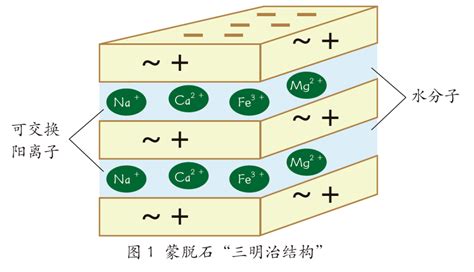 蒙脱石，源于石头的良药_临床_吸附_治疗