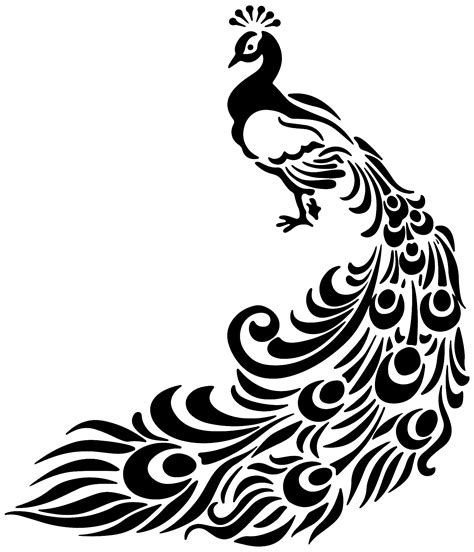 Peacock Feather Black And White Clip Art