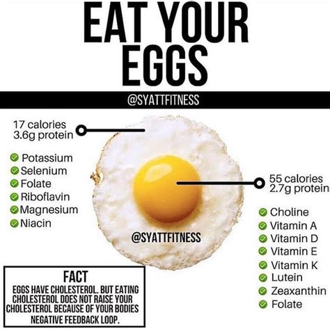 Namecheap Parking Page | Health facts food, Health and nutrition, Lutein