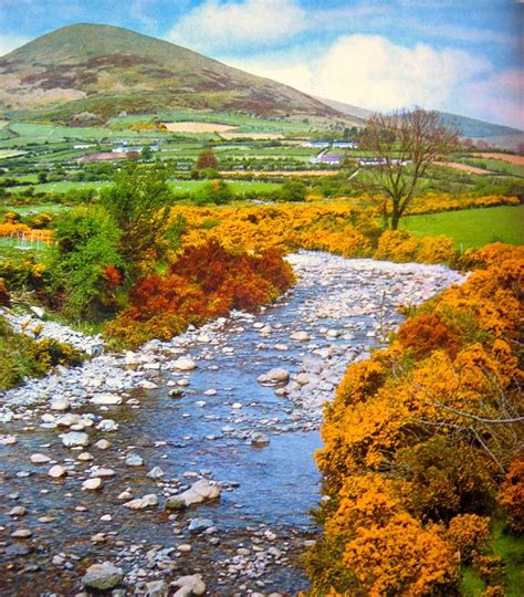 Welsh Countryside -River and farmland | Welsh countryside, Countryside ...