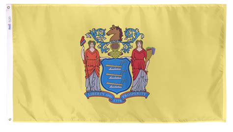 Identify The Color Of New Jersey's State Flag