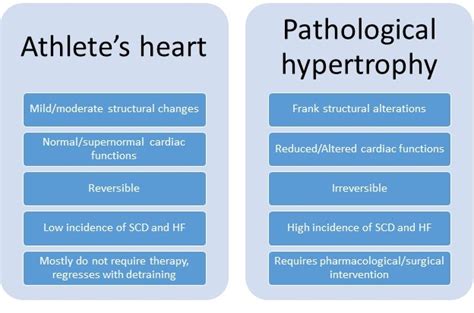 Athletic heart adaptation, pathological hypertrophy and sudden cardiac ...